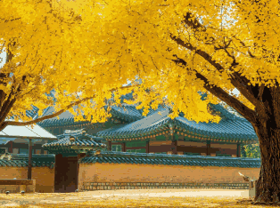 韩国外贸数据,外贸数据,凯发K8外贸数据